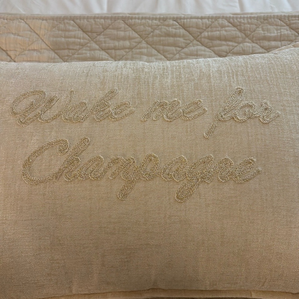 Wake Me for Champagne Accent Pillow - Picture 6 of 6